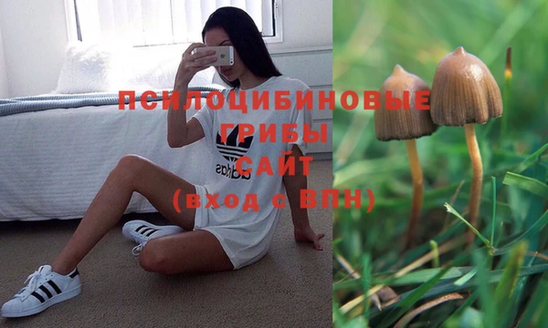 каннабис Заволжск