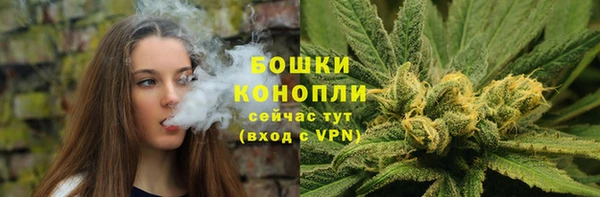 СК Заводоуковск