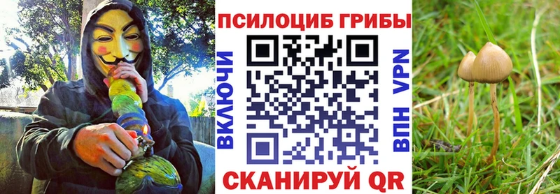 Галлюциногенные грибы GOLDEN TEACHER  мориарти клад  Юхнов 